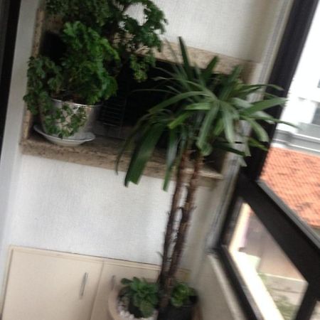 Appartement Jurere à Florianópolis Extérieur photo